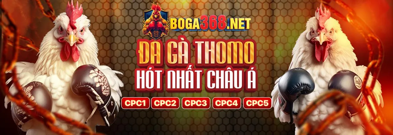 Các lợi ích khi chọn Bong98 đăng ký và tham gia
