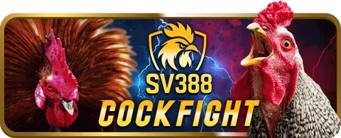 Kết nối với bong98 đăng ký trên mạng xã hội